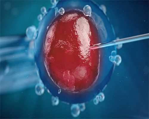 胚胎移植数量的建议